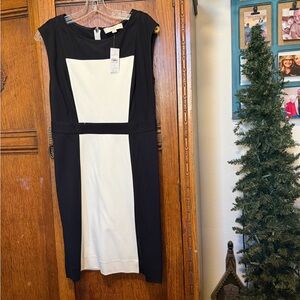 Ann Taylor Black and White Midi Dress